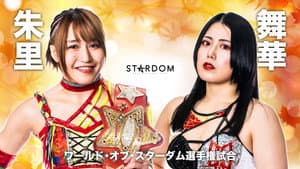 Stardom Hiroshima Goddess Festival ~Kinsai Stardom~
