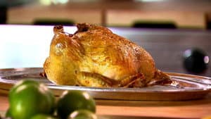 Chicken 101