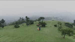 Traveling South
