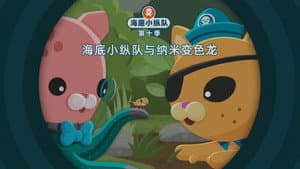 Episode 19