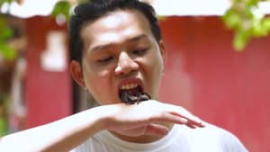 大结局