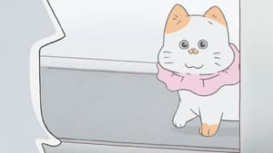 Episode 28
