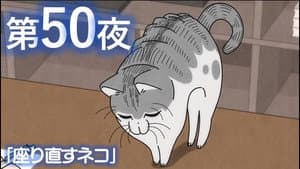 Night 50: A Cat Makes Itself Comfortable