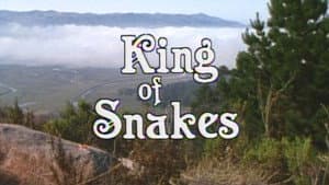 King of Snakes