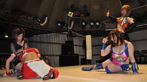 TJPW Tokyo Circuit 2014 Round.4