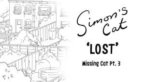 Missing Cat (3): Lost