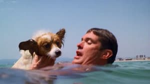 The Swimmer