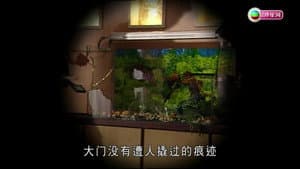 Episode 3