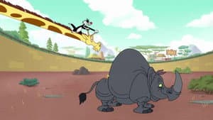Rhino Ya Don’t
