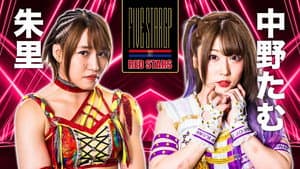 Stardom 5★STAR Grand Prix 2022 in Korakuen ~ Day 4