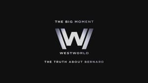 The Big Moment: The Truth About Bernard