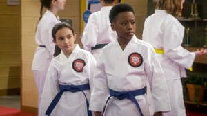 Karate Wars IV: Dawn of the Karate Wars