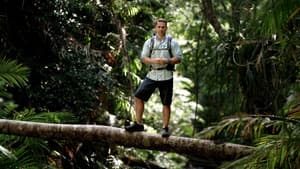 Wet and Wild Rainforests