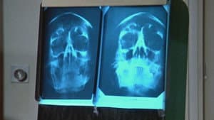 The Two Deaths of Adolf Hitler
