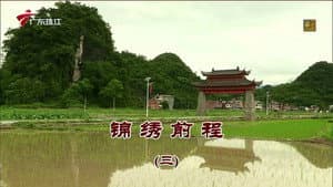 Episode 3431