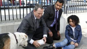 Man's Best Friend