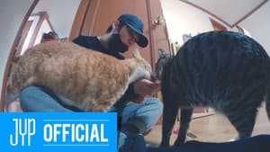 Lee Know : 리노, 하고 싶은 거 다 하지 마