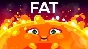 Let's Talk About Fat
