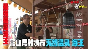 Episode 25