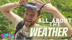 All About The Weather