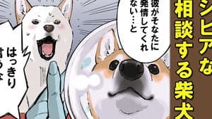 Shiba Distance / Multifunctional Appliance / Love Potion