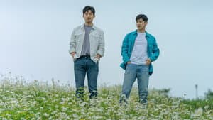 Finding Ha Neul