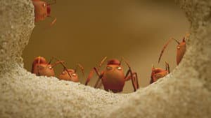 Sand castle