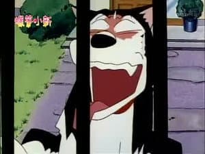 Episode 351