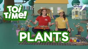 Plants