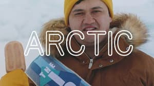 What Lives in the Arctic?