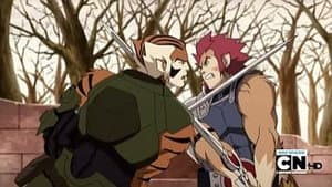 Between Brothers