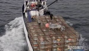 The Unforgiving Sea
