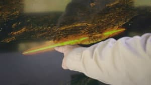Season 5 Behind the Gates: Mesa, Mesa, Mesa!