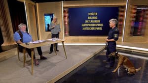 Episode 3