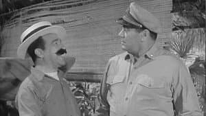 Hello, McHale? Colonna!