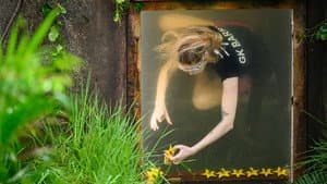 Drown in the Dumps