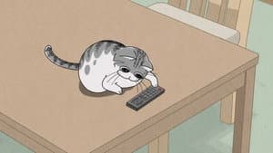 Night 3: A Cat That Tends to Drop Things