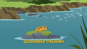 Salamander Streaming