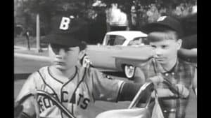 Moochie of the Little League: A Diamond Is a Boy's Best Friend