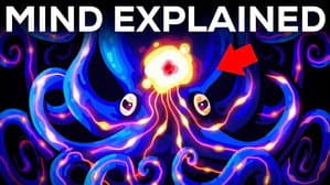 Let’s Dissect Your Brain