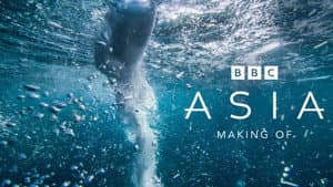 The Making of Asia