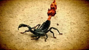 Hippo Poo & Scorpion Tail