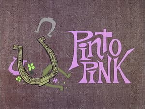 Pinto Pink