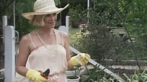 Fruit Of The Vine - Part 1