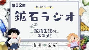 More! Recommendations for Mineral Life! Episode 12