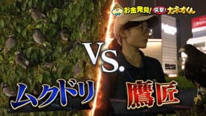 Episode 251