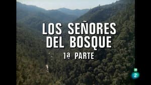 The Lords of the Forest I
