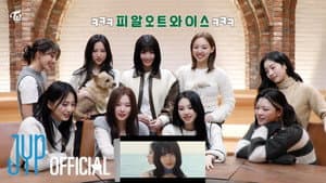 TWICE “I GOT YOU” MV Reaction