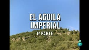 The Imperial Eagle I