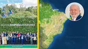 From Bolsonaro to Lula: Where is Brazil headed?